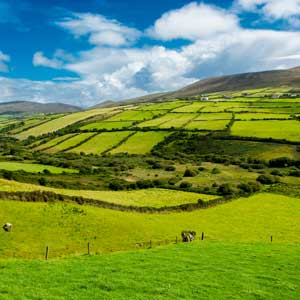 ireland.jpg